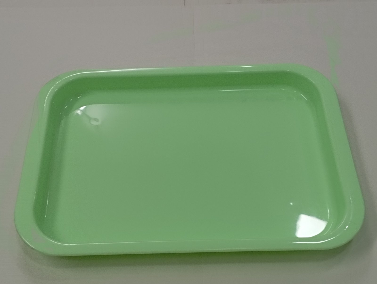 Instrument Tray Small L. Green